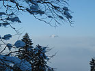 Nebel