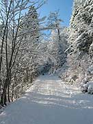 Winterlandschaft